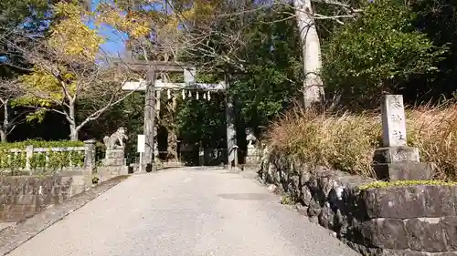 秦神社の鳥居