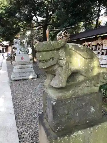 菊田神社の狛犬