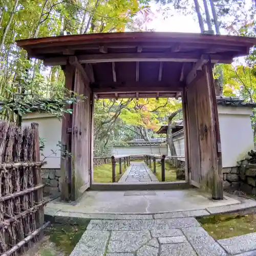 高桐院(京都府)