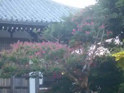 長谷寺のその他建物