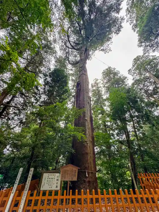 高千穂神社(宮崎県)