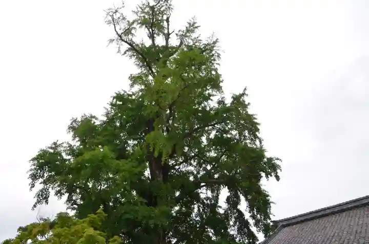 大福田寺(三重県)