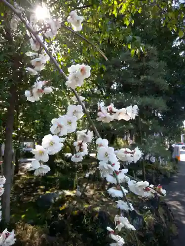 進雄神社(群馬県)