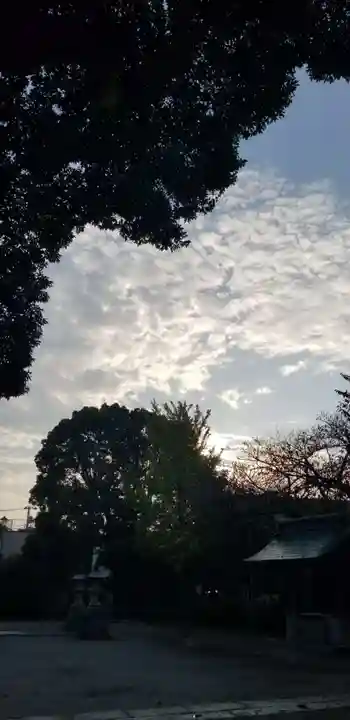 奥戸天祖神社の景色