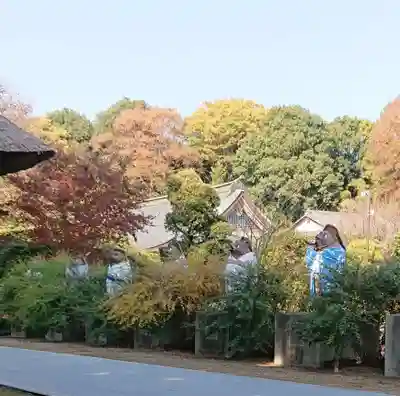 茂林寺の狛犬