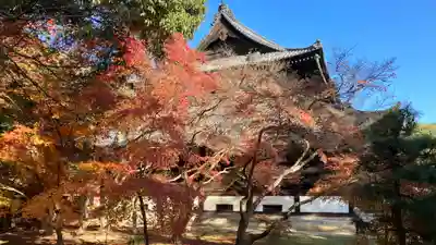 曹源寺(岡山県)