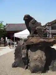 浅草神社の狛犬