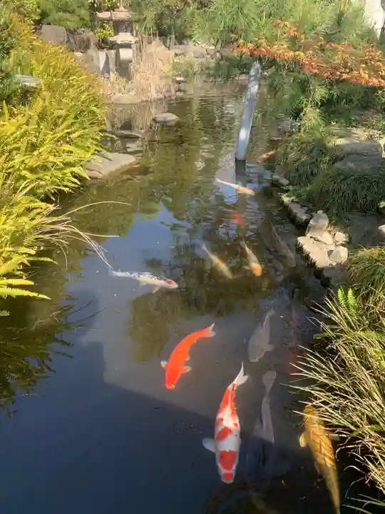 彦島八幡宮の庭園
