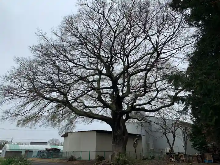 第六天神社(千葉県)