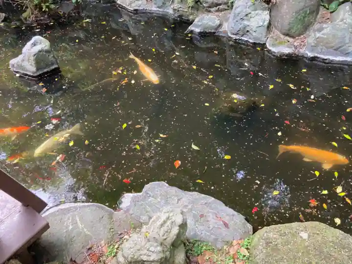 西光寺(神奈川県)