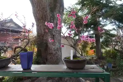 菅原天満宮（菅原神社）のその他建物