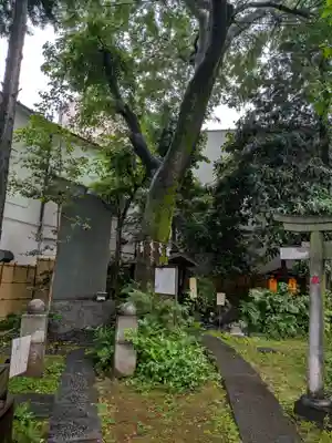 くまくま神社(導きの社 熊野町熊野神社)(東京都)
