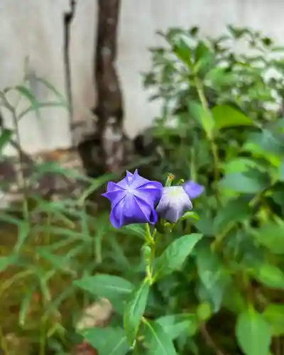 地蔵院(兵庫県)