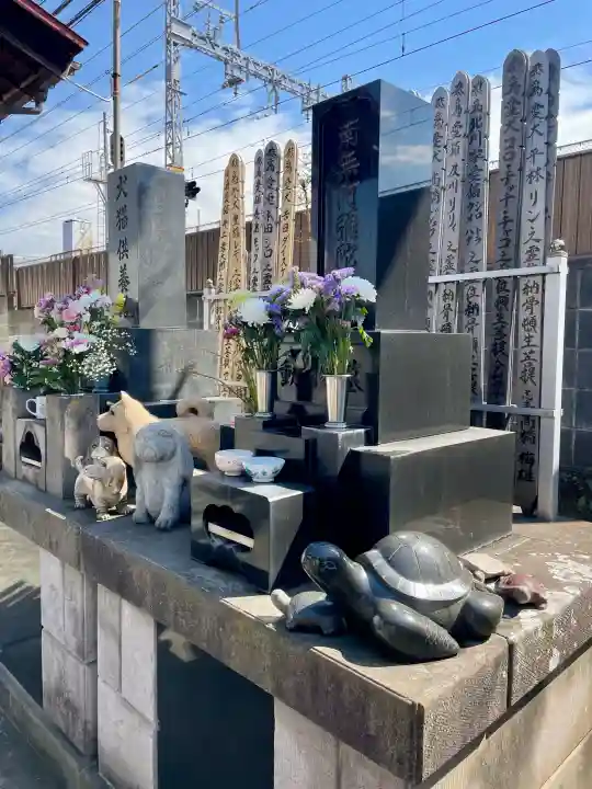 慶運寺の{uncategorized: "未分類", other: "その他", undefined: "問題あり", building: "その他建物", grave: "お墓", sacred_gate: "鳥居", guardian: "狛犬", statue: "像", buddha: "仏像", history: "歴史", nature: "自然", garden: "庭園", animal: "動物", pagoda: "塔", temizu: "手水舎", mountain_gate: "山門・神門", sanctuary: "本殿・本堂", subordinate: "末社・摂社", art: "芸術", scenery: "景色", jizo: "地蔵", ema: "絵馬", goshuin: "御朱印", omikuji: "おみくじ", items: "授与品その他", amulet: "お守り", goshuincho: "御朱印帳", eats: "食事", festival: "お祭り", votive_dance: "神楽", shichigosan: "七五三参", wedding: "結婚式", experience: "体験その他", initially: "初詣", around: "周辺", anti_infection: "感染症対策"}