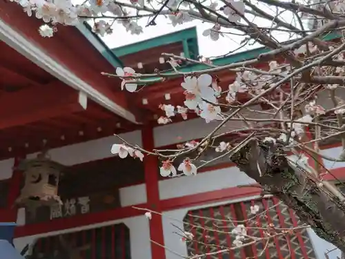 仙台大神宮の景色