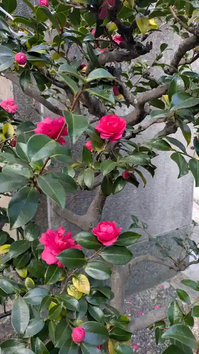 弘誓寺(京都府)