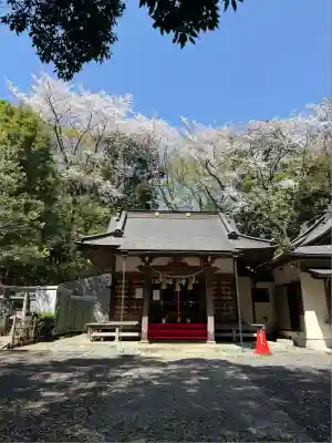 茅ヶ崎杉山神社(神奈川県)