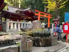 箱根神社の手水