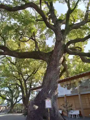 北岡神社(熊本県)