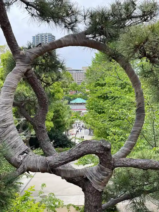 清水観音堂のその他建物