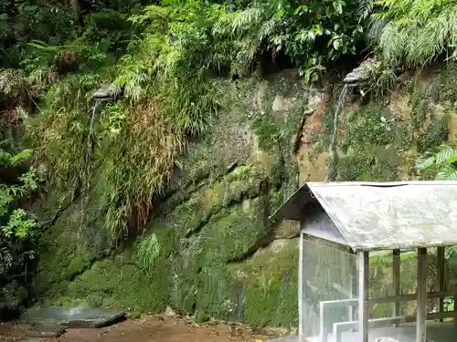 明王院（満願寺別院）の自然