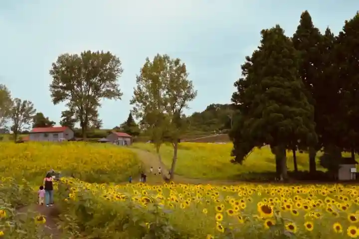 沢山神社(澤山神社)(新潟県)