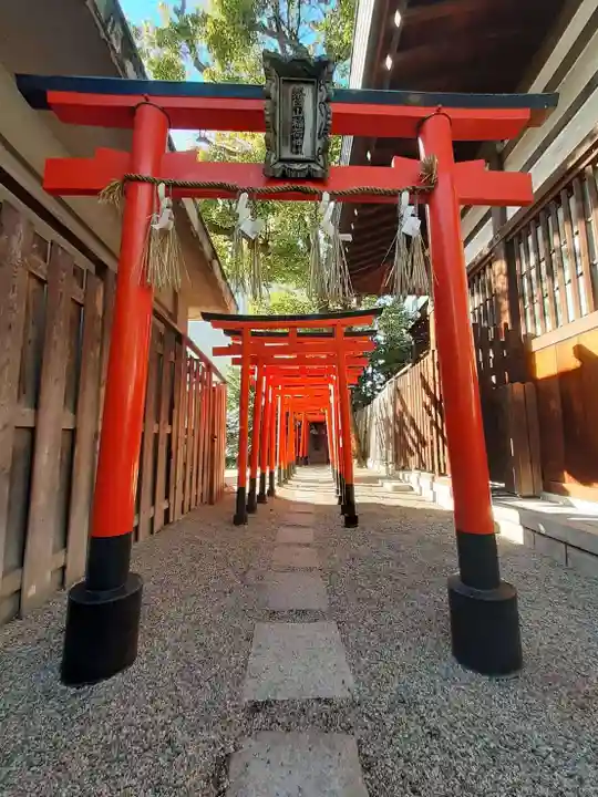 堀越神社(大阪府)