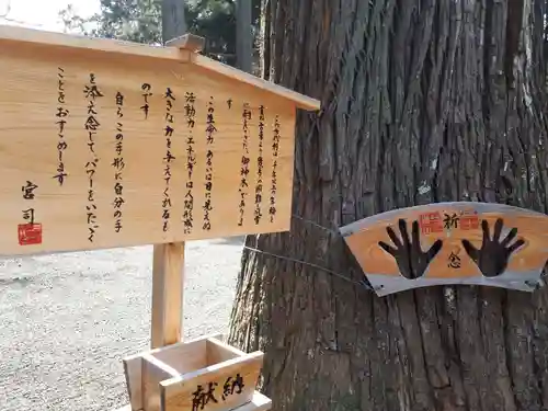 熊野神社の建物その他