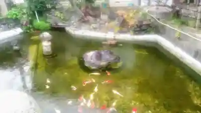 粟島神社の庭園