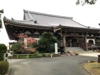 天林寺の本殿・本堂