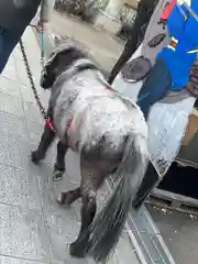 神田神社（神田明神）(東京都)