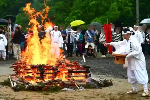 高龍神社(新潟県)