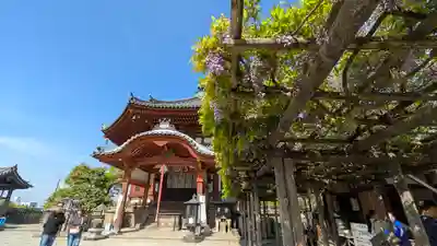 興福寺 南円堂(奈良県)