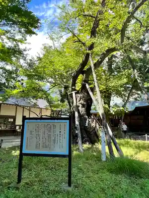 蠶養國神社(福島県)