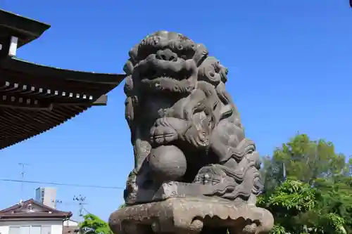 熊野福藏神社の狛犬