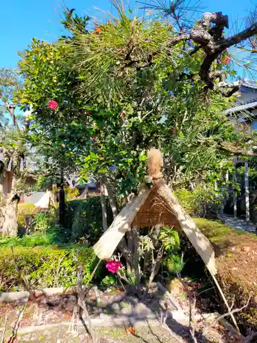 石光寺(奈良県)