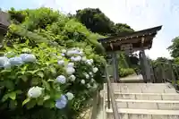 成就院の山門・神門