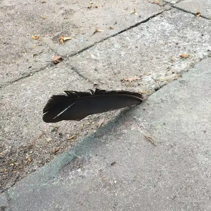 砂川神社の動物