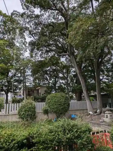 許麻神社(大阪府)