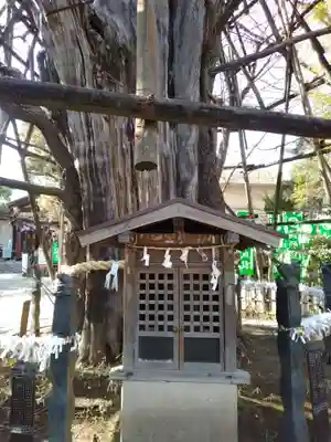 稲毛神社(神奈川県)