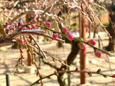 結城神社(三重県)