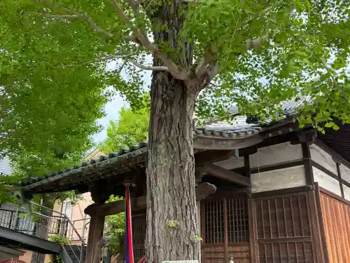 治兵衛稲荷神社の{uncategorized: "未分類", other: "その他", undefined: "問題あり", building: "その他建物", grave: "お墓", sacred_gate: "鳥居", guardian: "狛犬", statue: "像", buddha: "仏像", history: "歴史", nature: "自然", garden: "庭園", animal: "動物", pagoda: "塔", temizu: "手水舎", mountain_gate: "山門・神門", sanctuary: "本殿・本堂", subordinate: "末社・摂社", art: "芸術", scenery: "景色", jizo: "地蔵", ema: "絵馬", goshuin: "御朱印", omikuji: "おみくじ", items: "授与品その他", amulet: "お守り", goshuincho: "御朱印帳", eats: "食事", festival: "お祭り", votive_dance: "神楽", shichigosan: "七五三参", wedding: "結婚式", experience: "体験その他", initially: "初詣", around: "周辺", anti_infection: "感染症対策"}