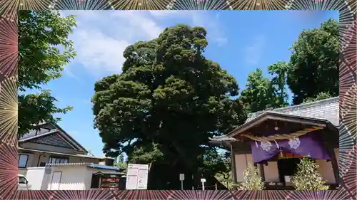 九重神社(埼玉県)