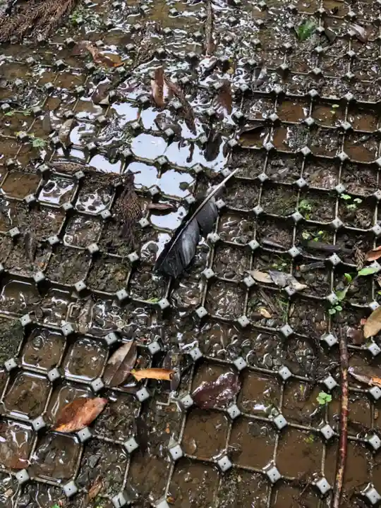 伏見稲荷大社 御膳谷奉拝所(京都府)