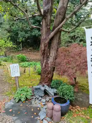 宝寿院の庭園