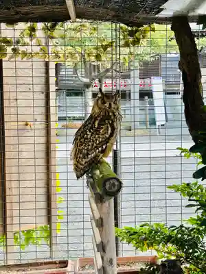 宮地嶽神社(福岡県)