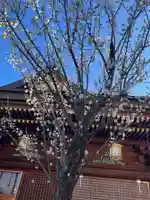 湯島天満宮(東京都)