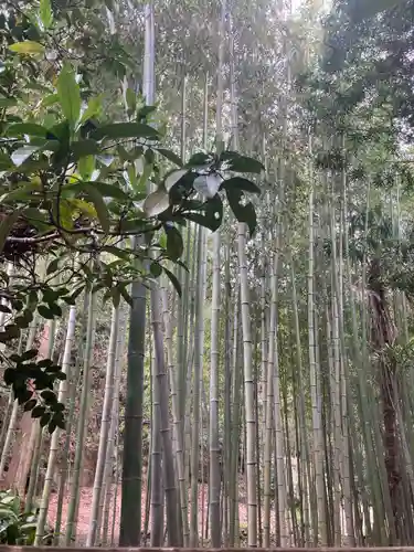 寿福寺(神奈川県)