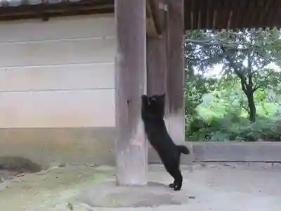 長岳寺(奈良県)