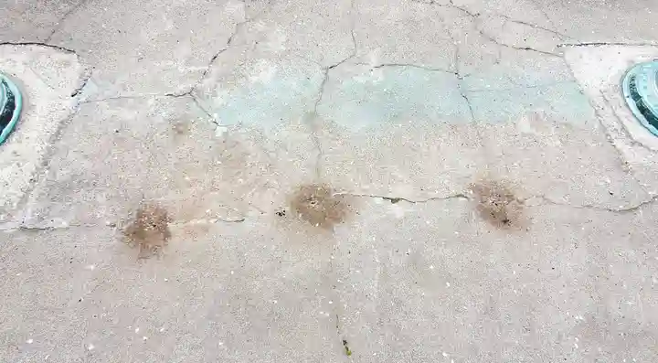 長沼八幡宮(栃木県)